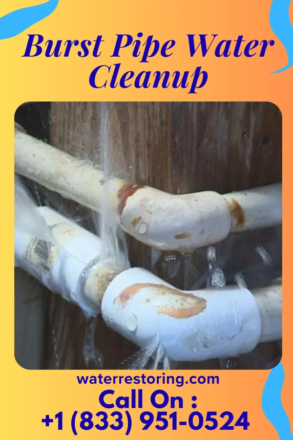 Burst Pipe Water Cleanup in Pleasanton, NE