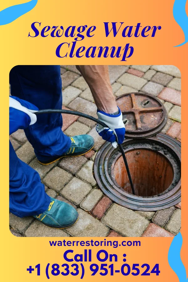 Sewage Water Cleanup in Pleasanton, NE